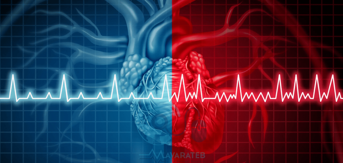 ضربان قلب بالا نشانه چیست 
